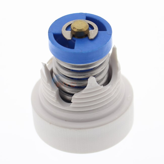 Pentair Pressure Relief Valve F/wall Fitting (lx25)