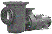 EQ Series Pump 10HP 1-Phase 230V W/ Strainer (EQ-1000)