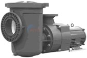 EQ Series Waterfall Pump 5HP 3-Phase 208-230/460V W/ Strainer (EQWK-500)
