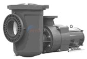 EQ Series 7.5HP 3-Phase Pump w/ Strainer (EQK750)