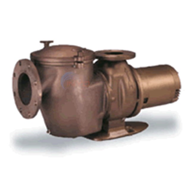 Pentair 5 HP Bronze Pump with Strainer Single PH 60 HZ 230V - 011594