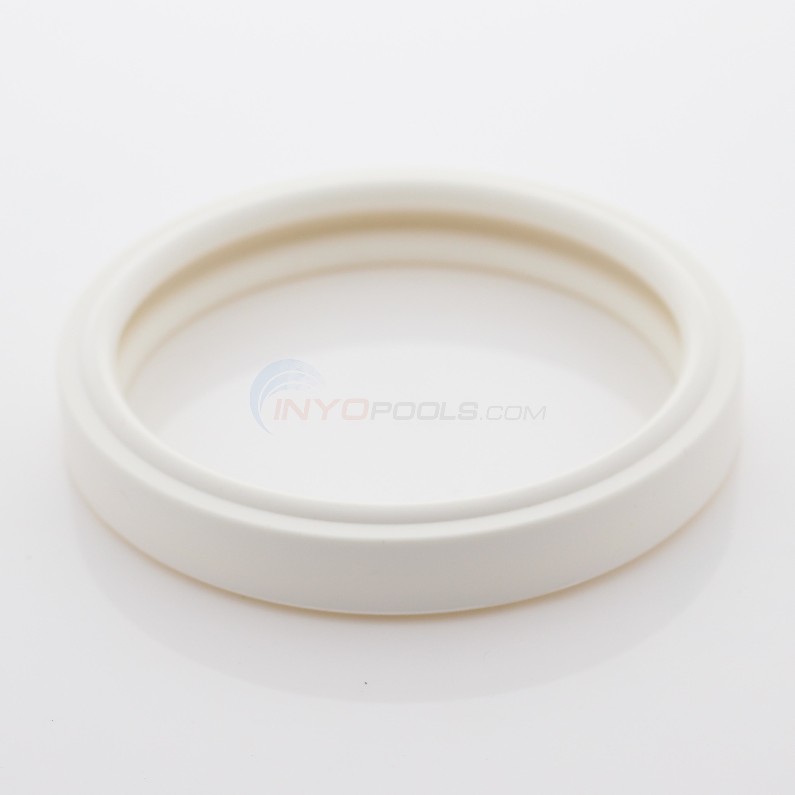 Pentair Silicone Gasket for Aqua-Light - 79108600