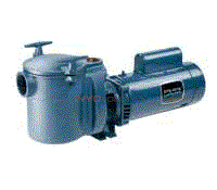 CF-Series Bronze Low SF Pump 2.5HP 230V