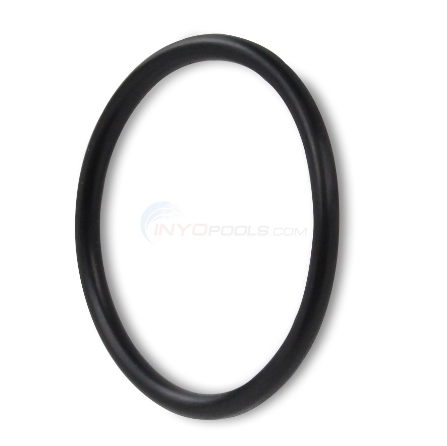 Drain Plug O-Ring for PL1520 Filter System