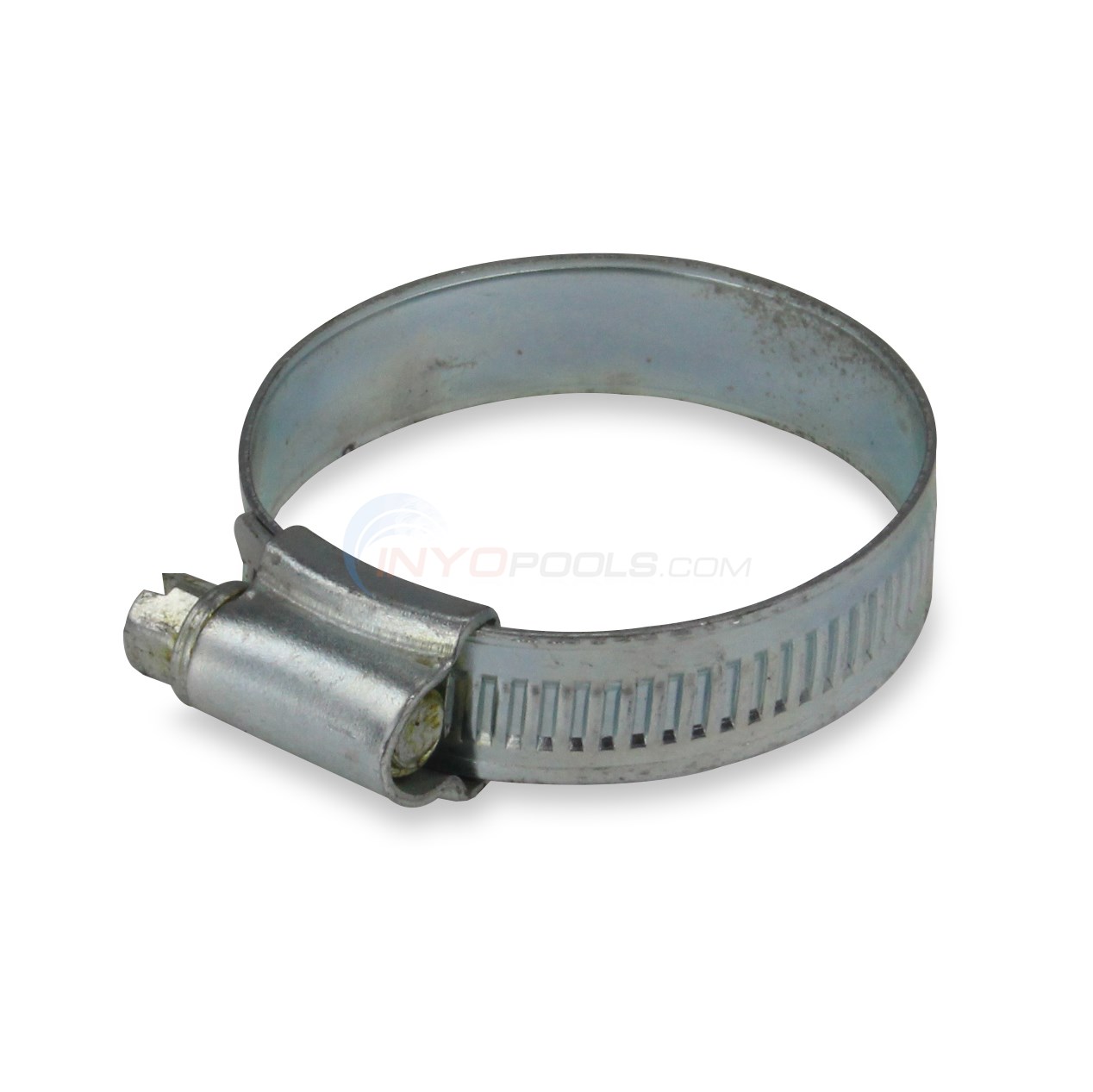 Pureline Above Ground Pool Filter Hose Clamp By Pureline PL1570