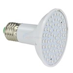 Questions for Pureline LED Spa Light Bulb, Color Changing, 120 ...