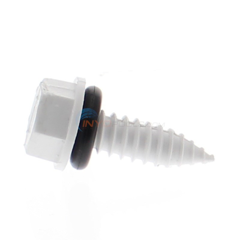 PLUG, DRAIN ASSEMBLY