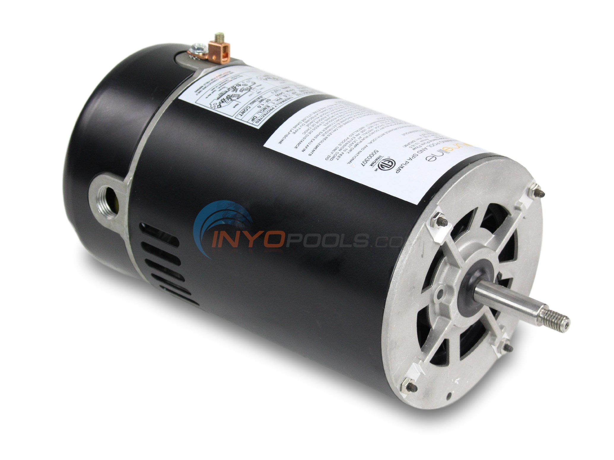 In Ground Pump (1-1/2