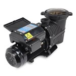 Questions for Pureline 1.5 H.P Variable Speed Pool Pump PL1615 ...