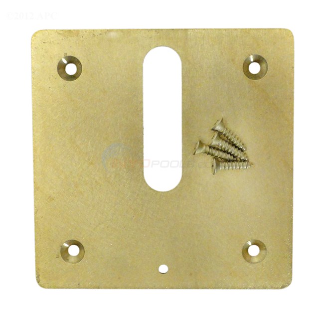Polaris MiniJet Brass Cover Plate & Screws - MJ6370