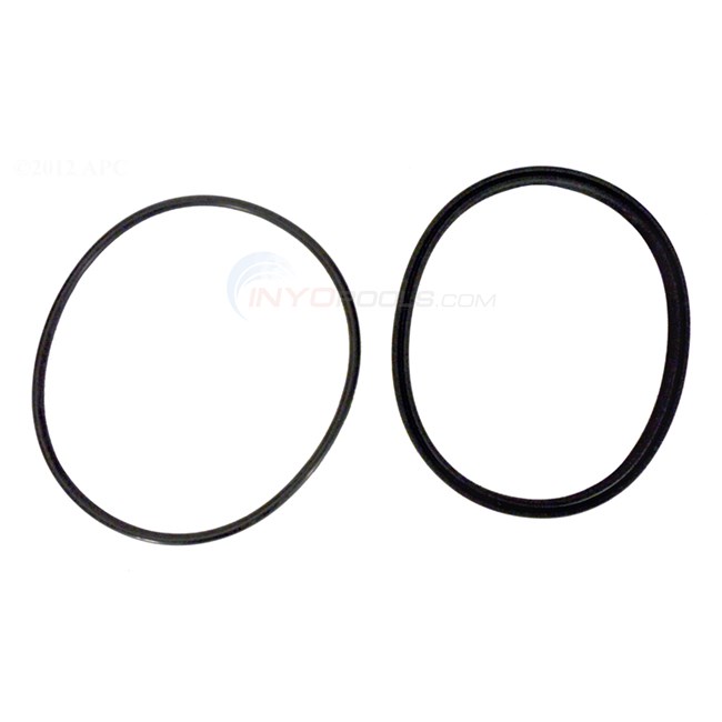 Zodiac Jandy Lid Seal with O-Ring - R0449100