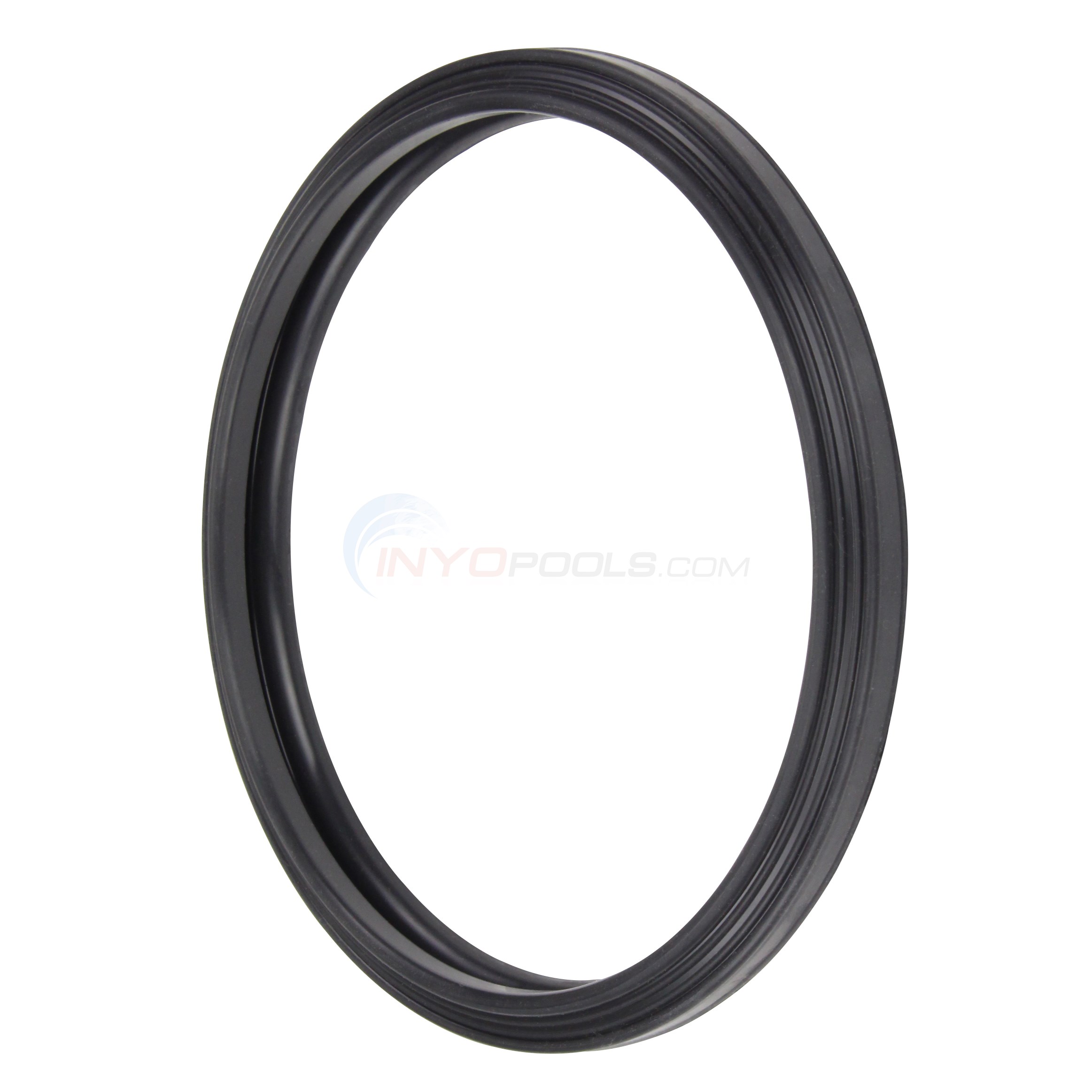 Ryoo 専用 Jandy Silicone Gasket - R0790500 - INYOPools.com