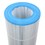 Pentair 100 Sq Ft Replacement Cartridge For Clean & Clear Pool Filter- R173215