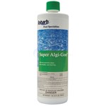 Super Concentrated Algaecide, 1 Quart - NY105