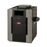 Raypak RP2100 Digital Natural Gas Heater, 399,000 BTU, Low NOx ...