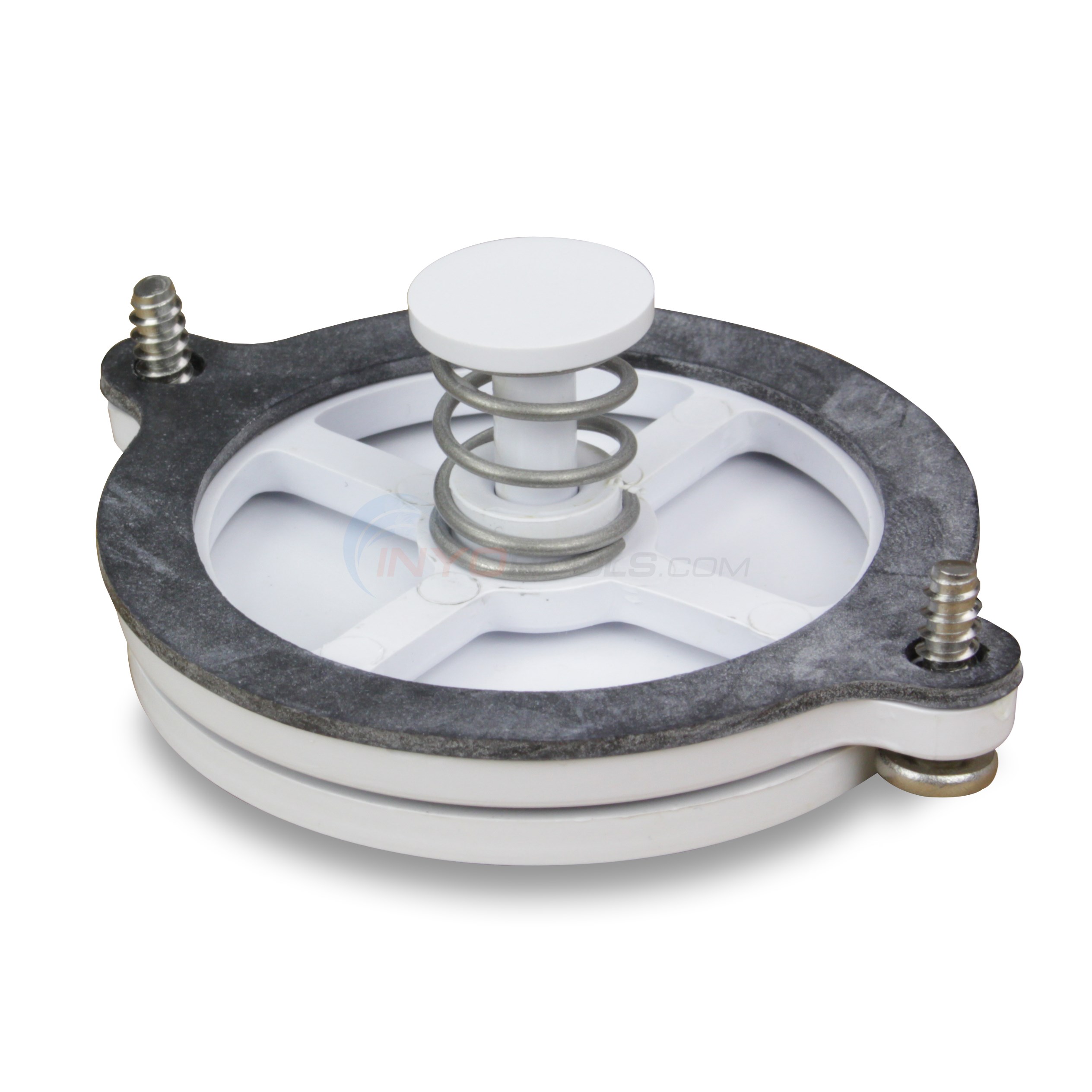 Hayward Valve, Equalizer Assy. Wg (sp1078)