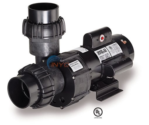 Speck 2180 4 HP EE Single Speed Special App. Pool Pump (2180/33 G