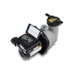 Speck Badu EcoMV 2.4 HP Pool Pump (EcoMV/72-V) - 2072266213 ...