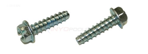 Hayward Mounting Foot Cap Screw (set Of 2) (spx1600z52)