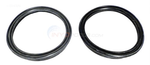 Hayward® Union Gasket (Set of 2)-SPX3200UG