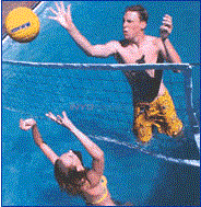 Swim-N-Spike w/ Anchors