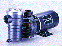 StaRite 1 1/2 HP Above Ground Pool Replacment Pump 6' Cord NE642