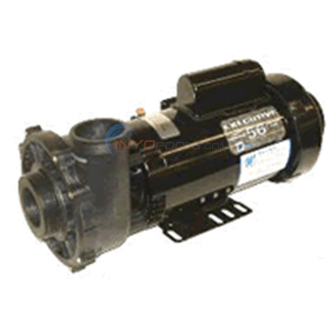 Advantage Ultimate Pump (Executive 56 Frm.) 4 HP, 230V (Refurbished Motor - 1 Yr. Motor) - 45622S