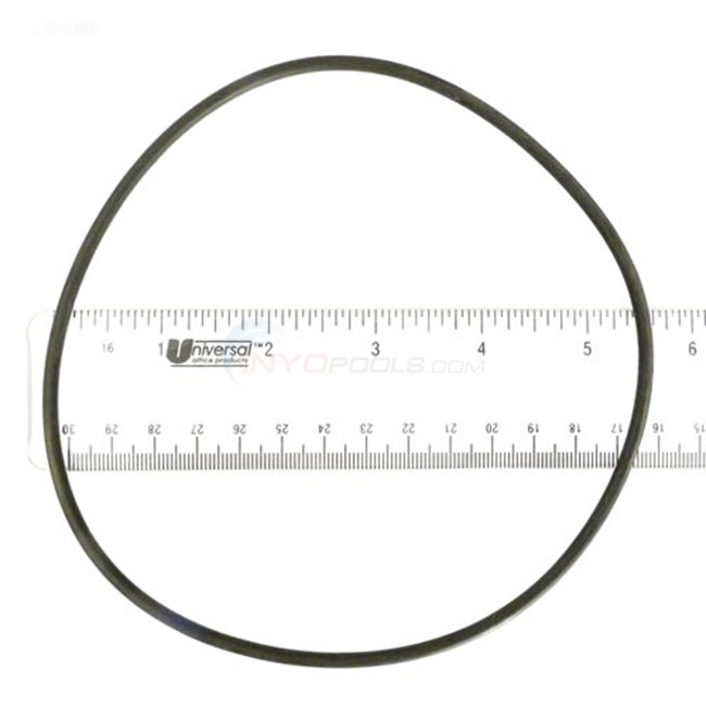 Waterway Volute Cover O-ring - 805-0253