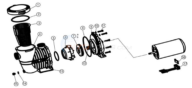 In Ground Pump (1-1/2" Ports) - PureLine PL16, Splash, Splash Pool, Stark USA Diagram