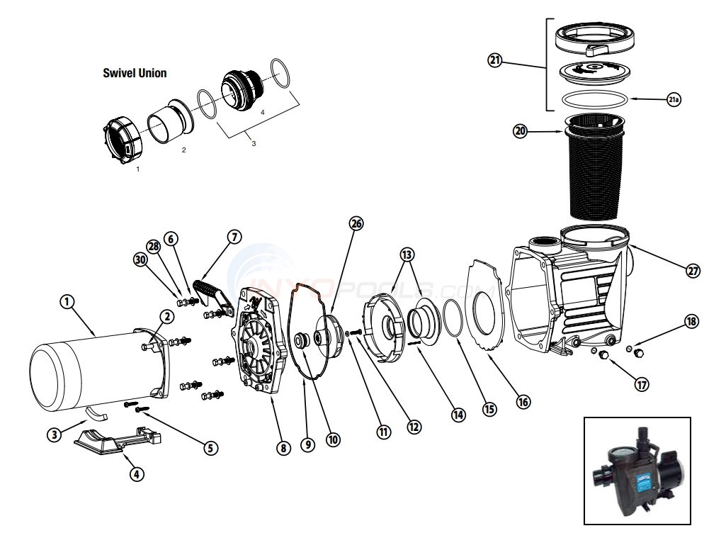 Waterway Champion 56-Frame Pump Parts - INYOPools.com