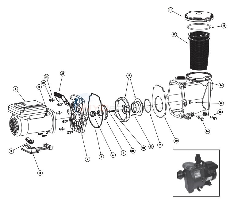 Waterway Econo-Flo VSA 165 Variable Speed Pump Diagram