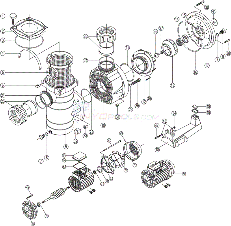 Hayward Commercial Thermoplastic SelfPriming Pump HCP Series Parts