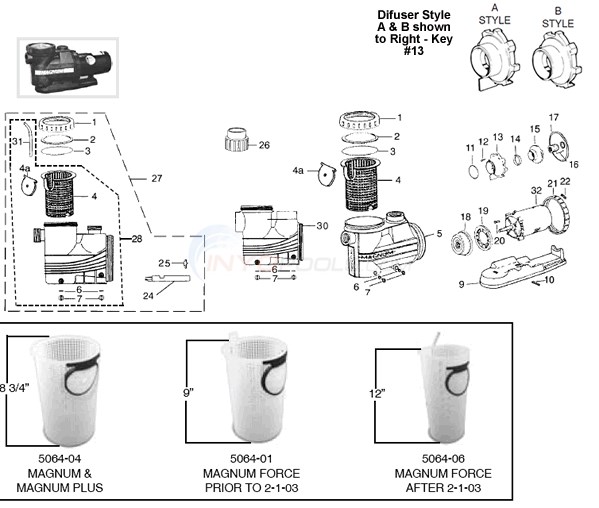 Jacuzzi Magnum Diagram