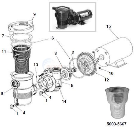 Pentair Optiflo Pump - 3/4 to 1 1/2 HP Diagram