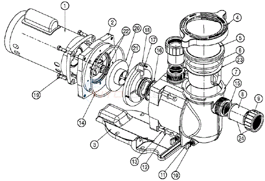 355619 Pentair SuperFlo Pump Housing O'ring Replacement 