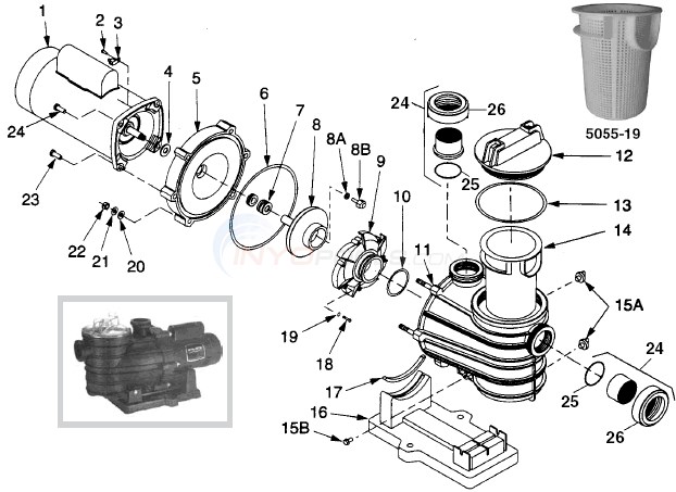 Sta-Rite Dyna-Wave Pump Diagram