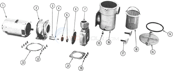 Sta-Rite HF, HHF, HPA Parts - INYOPools.com