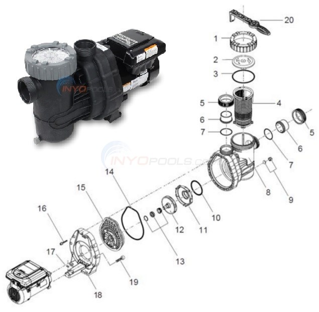 Raypak 1.65 HP Variable Speed Pump PS165VSP Parts