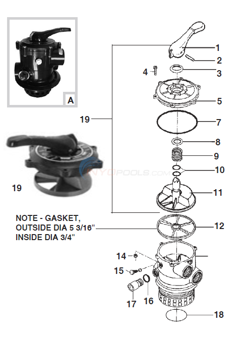Speck 1 1/2" Top Mount Valve Diagram