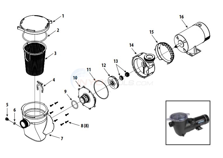 Waterway Supreme Pump Diagram