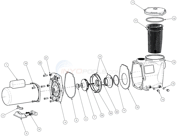 Waterway Econo-Flo 2-Speed Pump Diagram