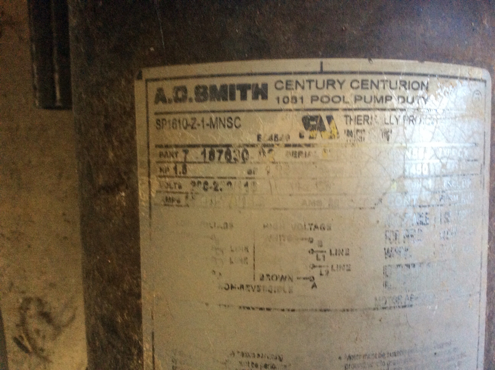 A.O. Smith Century® UST1152 - 1.5 HP Replacement Pool Pump Motor  Round Flange | 56J Frame | Single Speed