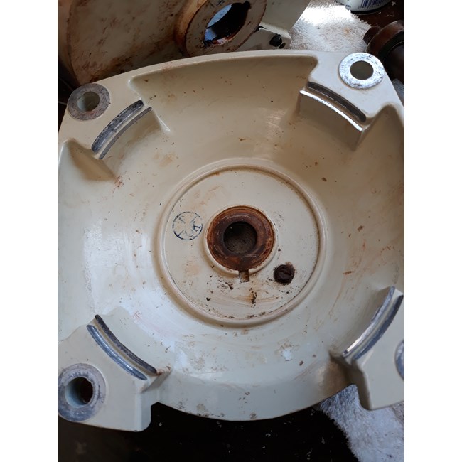 A.O. Smith Pool Pump Motor Bearing, 1.5748" OD - 6203