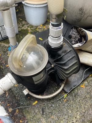 Questions for Pentair Challenger CHII Series Pool Pump Seal