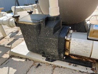 A.O. Smith Century® UST1152 - 1.5 HP Replacement Pool Pump Motor  Round Flange | 56J Frame | Single Speed