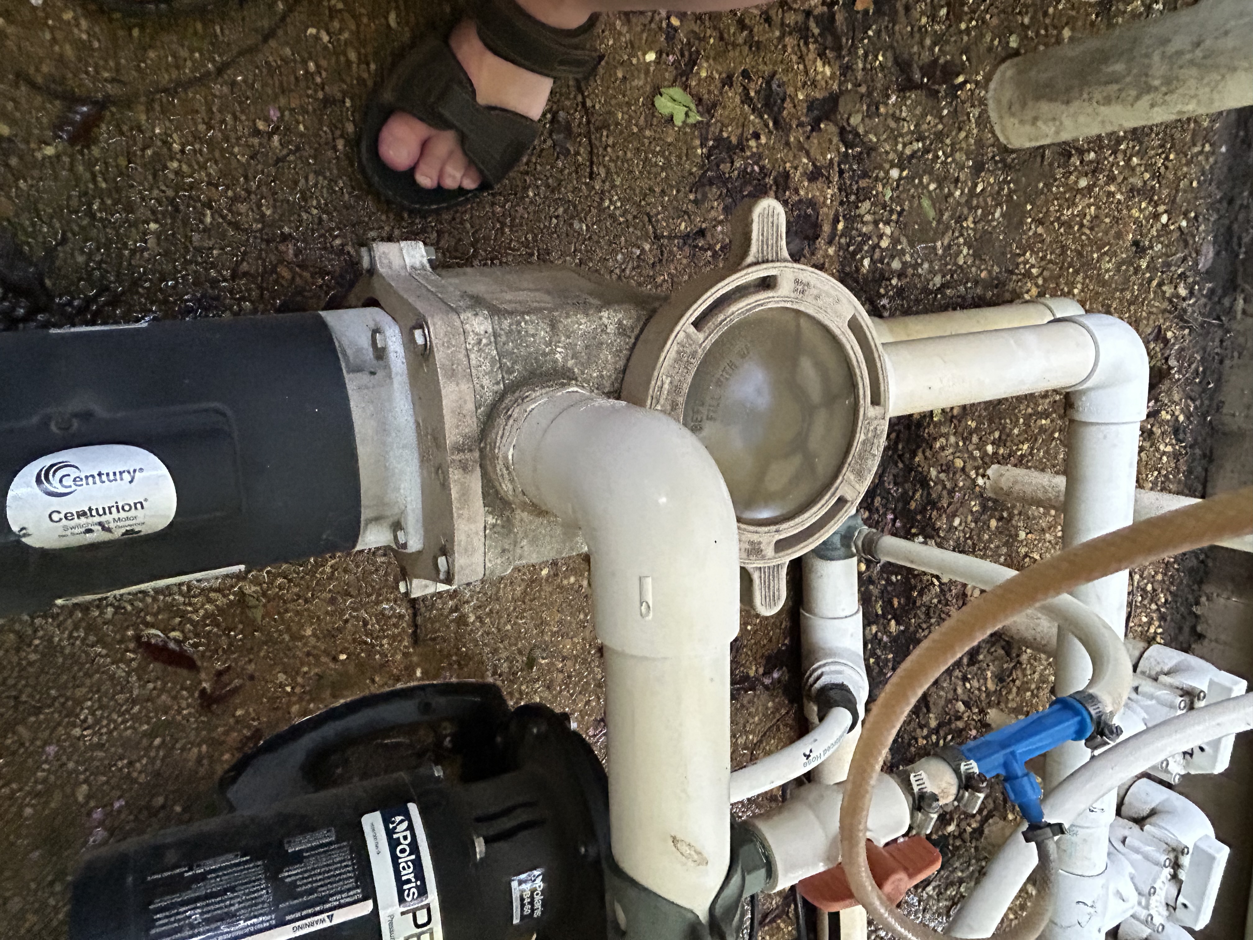 PureLine Pentair WhisperFlo Pool Pump Seal Kit Model GOKIT32