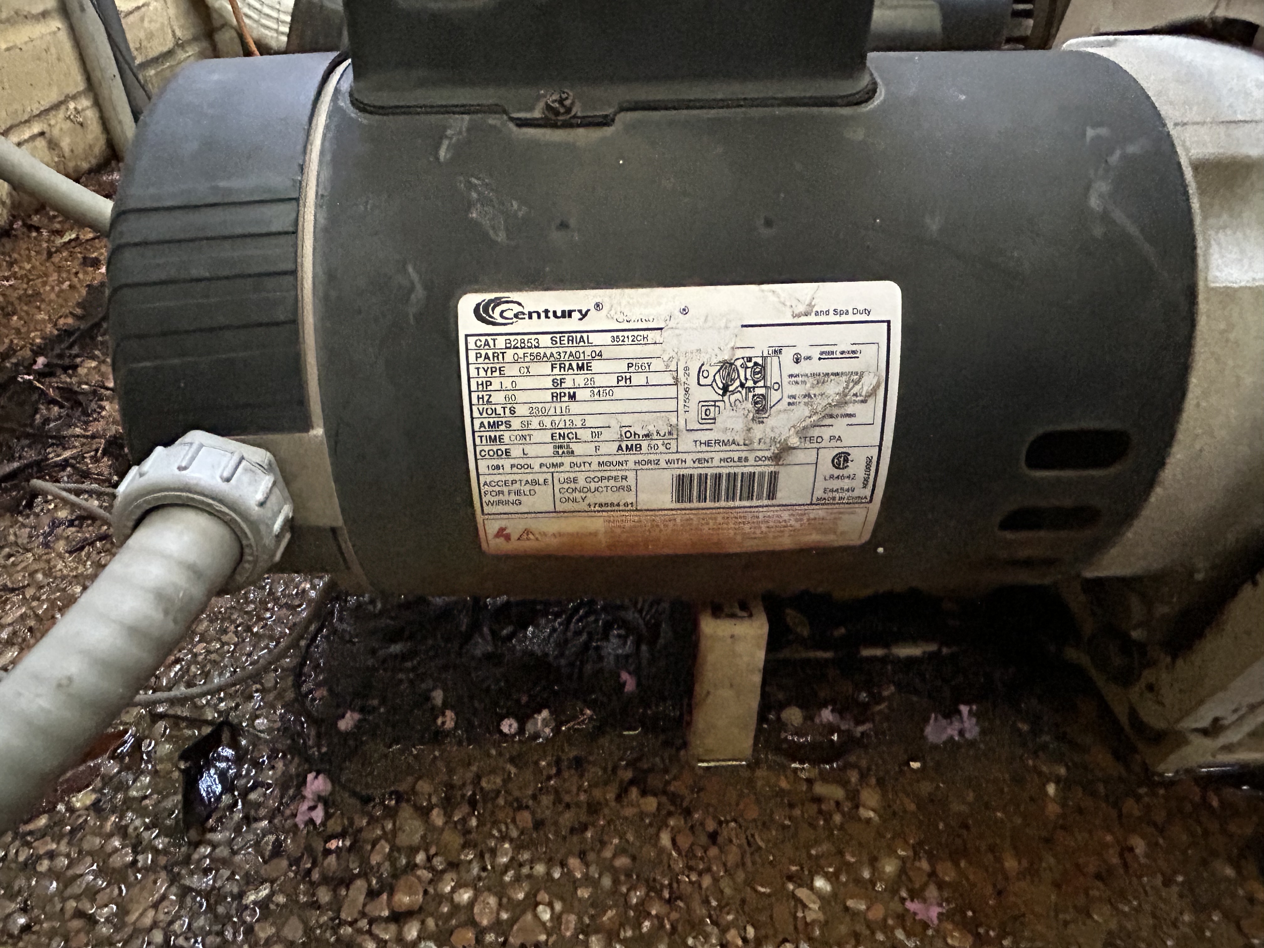 PureLine Pentair WhisperFlo Pool Pump Seal Kit Model GOKIT32