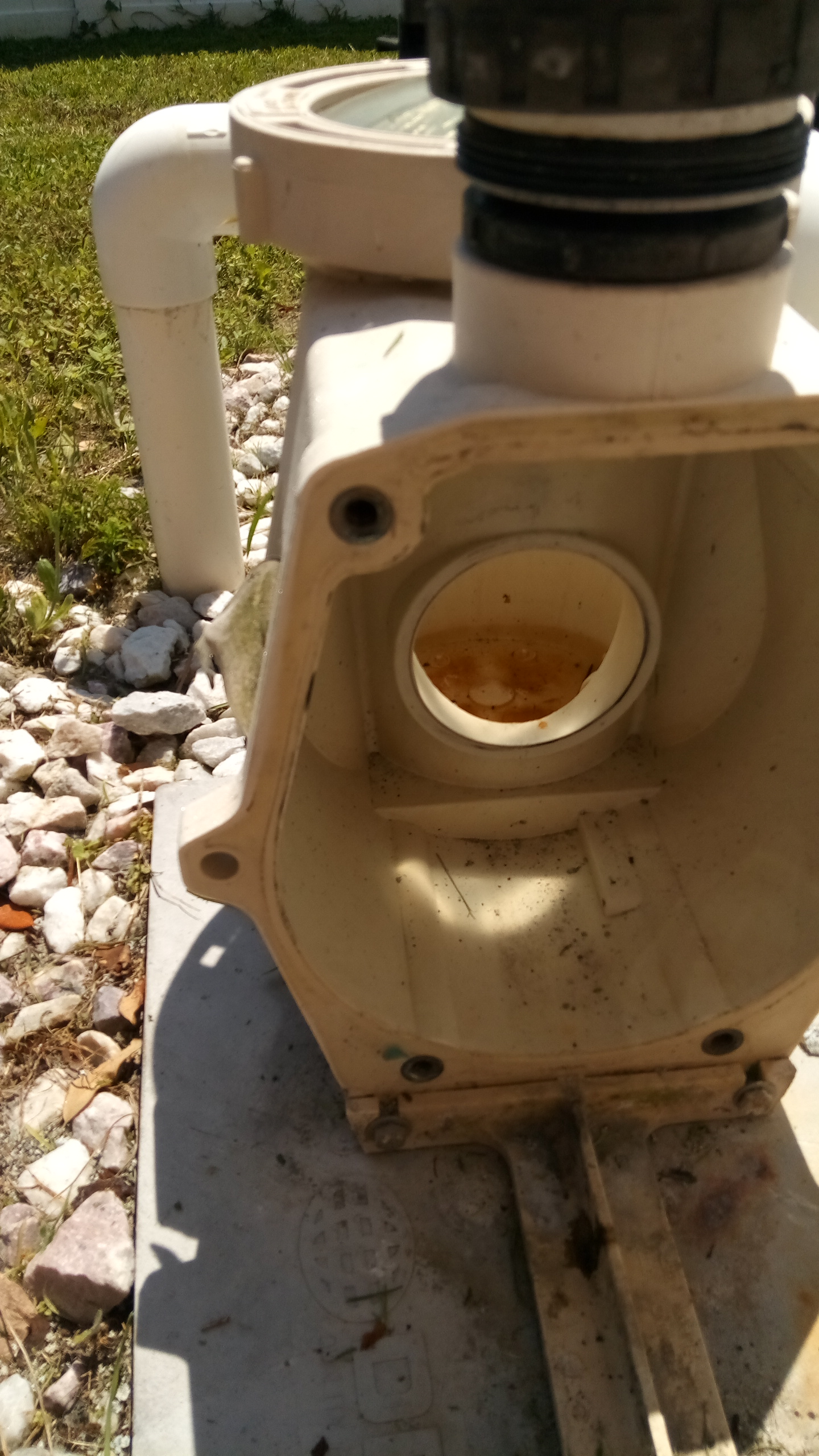 Pool Pump Housing Assembly w/ 1.65 THP Impeller, Compaitible with