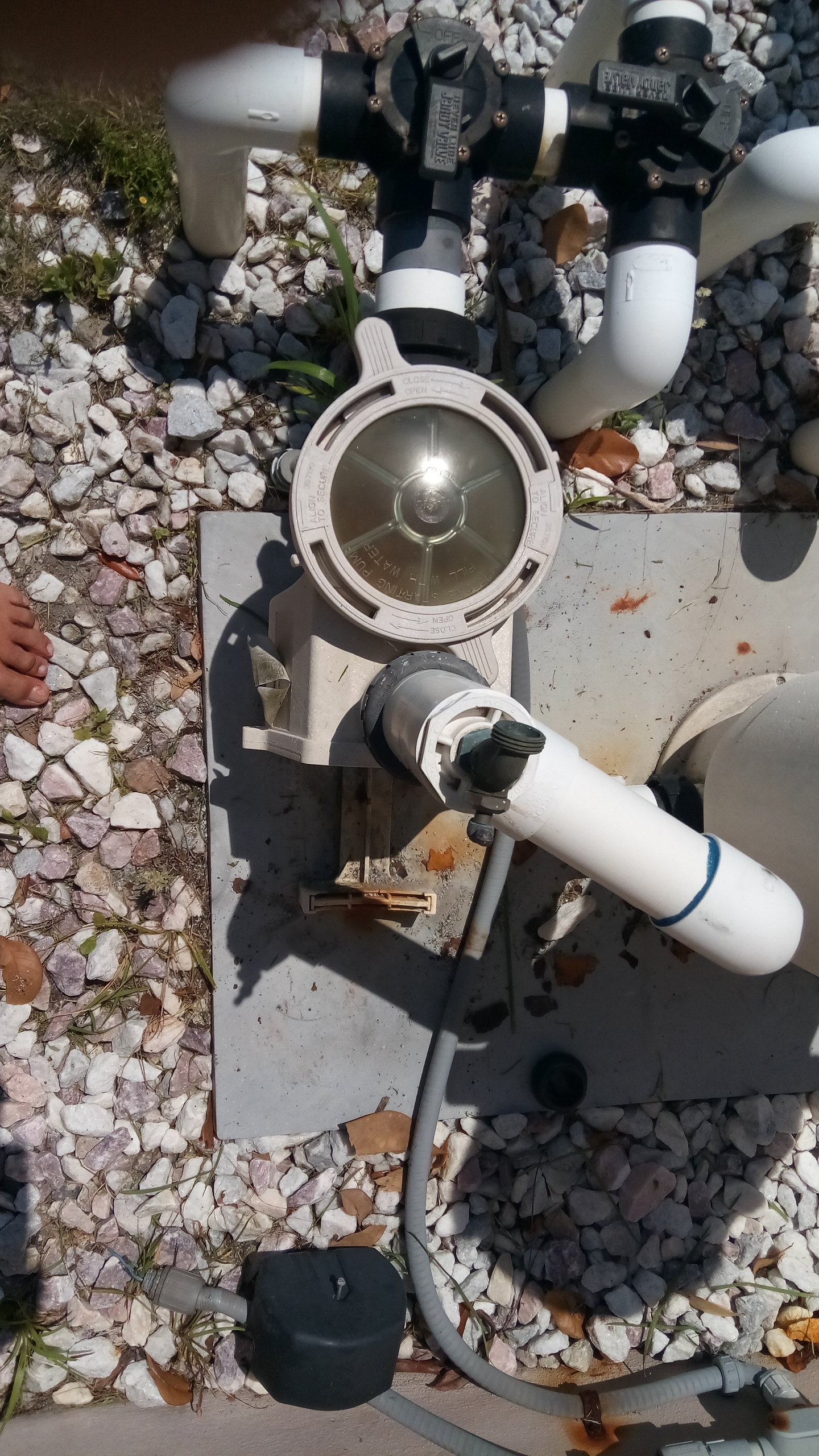 Pool Pump Housing Assembly w/ 1.65 THP Impeller, Compaitible with