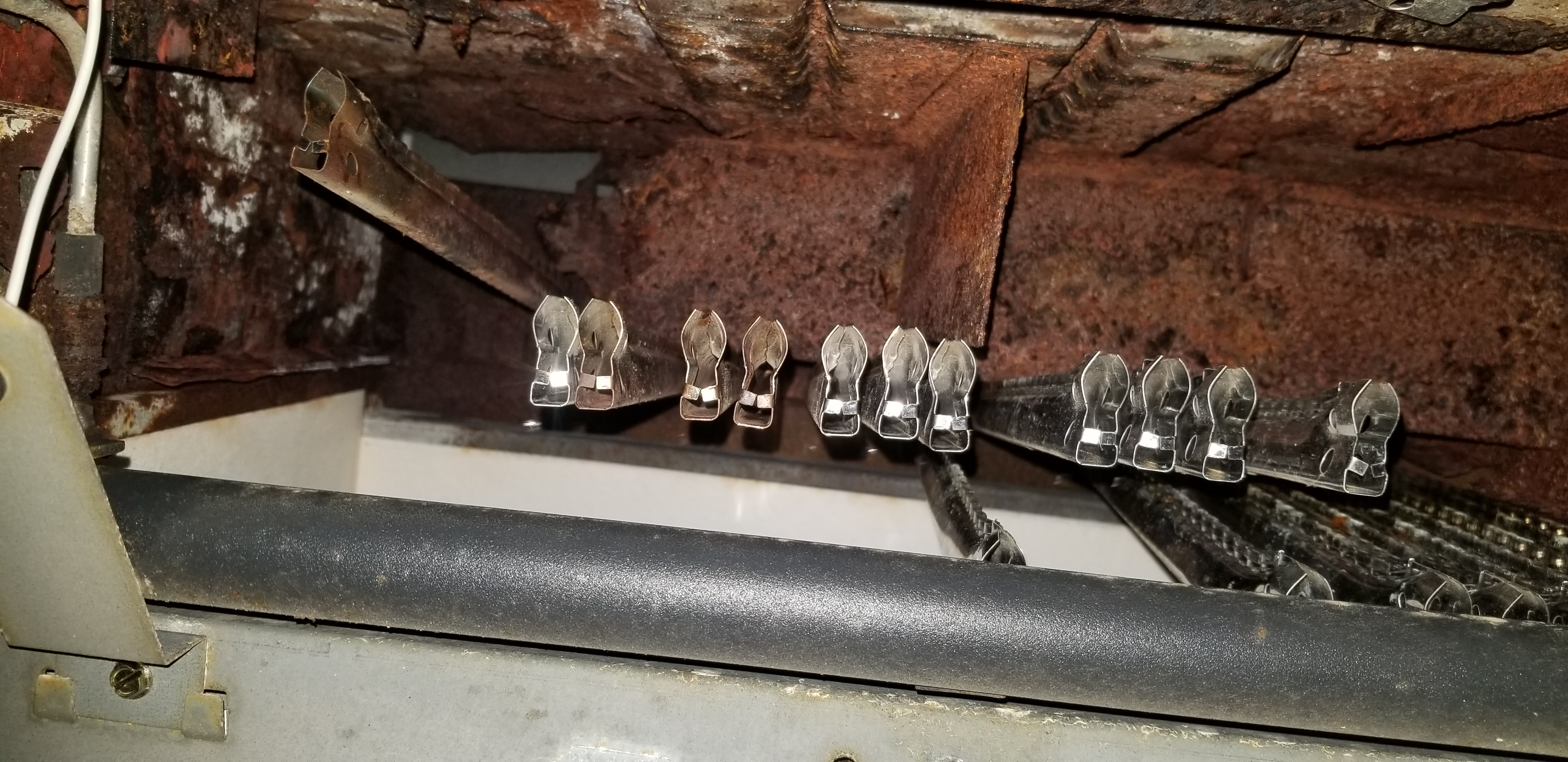 Raypak IID Pool Heater Pilot Light Assembly, Natural Gas and Propane 002003F